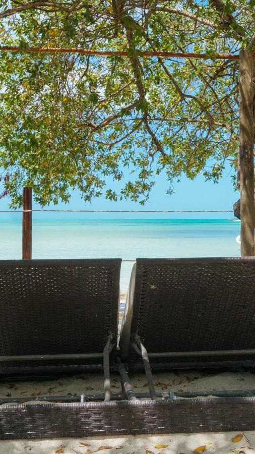 Choby's House Holbox Lejlighed Eksteriør billede
